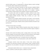 Šešėlinė ekonomika (kursinis darbas) 7 puslapis