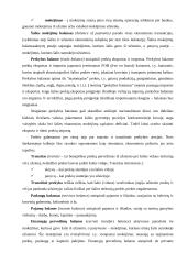 Tarptautinė prekyba ir investicijos 4 puslapis