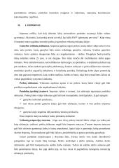 Tarptautinė prekyba ir investicijos 6 puslapis