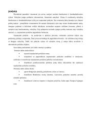 Tarptautinė prekybos politika: Lietuva ir Bulgarija 2 puslapis