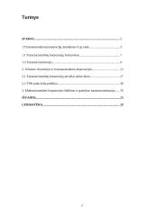 Transnacionalinių ir multinacionalinių korporacijų ekonominės tendencijos 2 puslapis