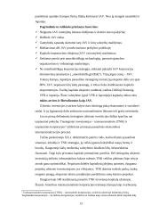 Transnacionalinių ir multinacionalinių korporacijų ekonominės tendencijos 13 puslapis