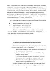 Transnacionalinių ir multinacionalinių korporacijų ekonominės tendencijos 17 puslapis