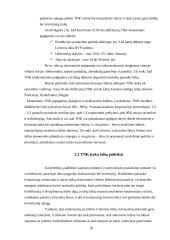 Transnacionalinių ir multinacionalinių korporacijų ekonominės tendencijos 18 puslapis