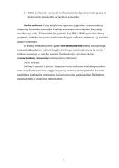 Transnacionalinių ir multinacionalinių korporacijų ekonominės tendencijos 4 puslapis