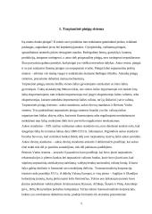 Transnacionalinių ir multinacionalinių korporacijų ekonominės tendencijos 5 puslapis