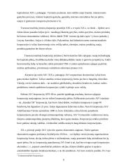 Transnacionalinių ir multinacionalinių korporacijų ekonominės tendencijos 6 puslapis