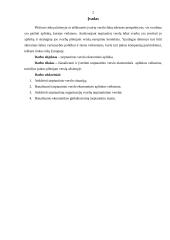 Tarptautinio verslo ekonominė aplinka 2 puslapis