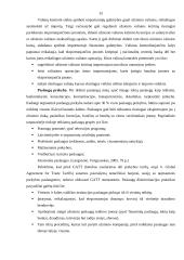 Tarptautinio verslo ekonominė aplinka 15 puslapis