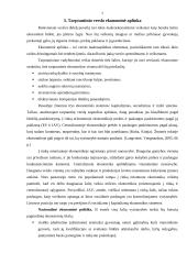 Tarptautinio verslo ekonominė aplinka 7 puslapis