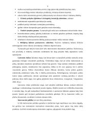 Tarptautinio verslo ekonominė aplinka 9 puslapis