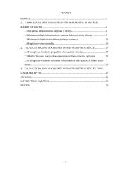 Tauragės rajono socialinės infrastruktūros būklės gerinimas 2 puslapis