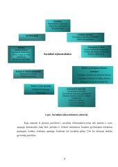 Tauragės rajono socialinės infrastruktūros būklės gerinimas 8 puslapis