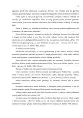 Technologinio proceso analizė: krovinio šaldytos žuvies vežimas maršrutu Lietuva-Latvija-Rusija 13 puslapis