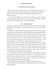 Teisė kaip civilizacijos reiškinys 17 puslapis