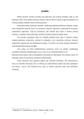 Teisės galiojimas asmenims 3 puslapis