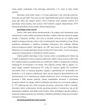 Teisėtvarka Lietuvoje 15 puslapis