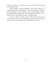 Teisėtvarka Lietuvoje 18 puslapis