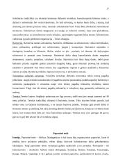 Teisinės sistemos 17 puslapis