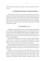 Teisinės valstybės samprata bei pagrindiniai požymiai 9 puslapis