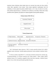 Teismų kompetencija ir teismo sudėties ypatumai 5 puslapis