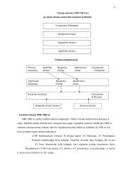 Teismų kompetencija ir teismo sudėties ypatumai 6 puslapis