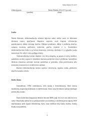 Telekomunikacijų teorija: 2 PSK moduliatoriaus modelis 4 puslapis