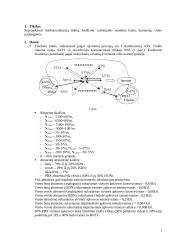 Telekomunikacijų tinklų projektavimas 2 puslapis