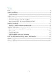 Teoriniai įmonių funkcionavimo pagrindai: sandorių kaštai („transaction costs“), suvaržytas racionalumas („bounded rationality“), šiuolaikinė firmos teorija („theory of the firm“) 2 puslapis