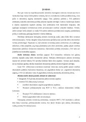 Tiesioginių užsienio investicijų įtaka ekonominiam augimui 2 puslapis