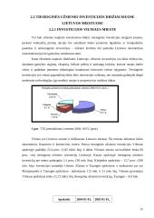 Tiesioginių užsienio investicijų įtaka ekonominiam augimui 15 puslapis