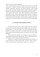 Tiesioginių užsienio investicijų įtaka ekonominiam augimui 18 puslapis