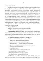Transporto firmos įvaizdis ir kokybės valdymas 12 puslapis