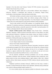 Transporto firmos įvaizdis ir kokybės valdymas 7 puslapis