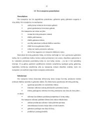 Transporto infrastruktūra Lietuvoje 12 puslapis