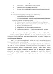 Transporto infrastruktūra Lietuvoje 13 puslapis