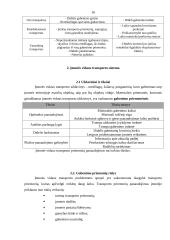 Transporto infrastruktūra Lietuvoje 16 puslapis