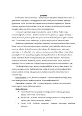 Transporto kompanijos analizė rinkodaros aspektu: UAB "Avižienių transportas" 2 puslapis