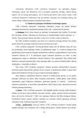 Transporto kompanijos analizė rinkodaros aspektu: UAB "Avižienių transportas" 16 puslapis