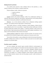 Transporto terminalai ir sandėliai 11 puslapis