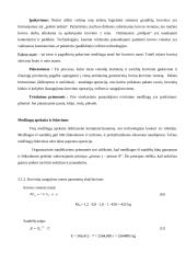 Transporto terminalai ir sandėliai 12 puslapis