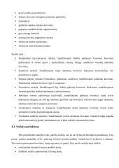 Transporto terminalai ir sandėliai 15 puslapis