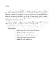 Transporto terminalai ir sandėliai 3 puslapis