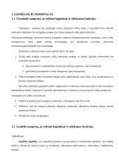 Transporto terminalai ir sandėliai 4 puslapis