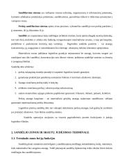 Transporto terminalai ir sandėliai 5 puslapis