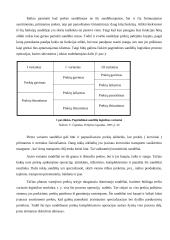 Transporto terminalai ir sandėliai 6 puslapis