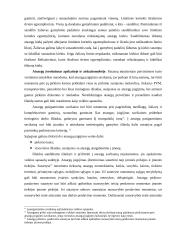 Trumpalaikio turto apskaita 11 puslapis
