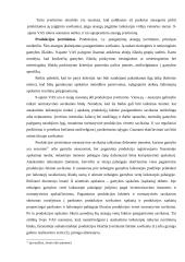 Trumpalaikio turto apskaita 13 puslapis