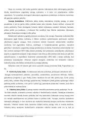 Trumpalaikio turto apskaita 14 puslapis