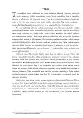 Trumpalaikio turto apskaita 3 puslapis